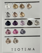 Load image into Gallery viewer, Teotema Colour Chart

