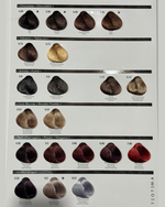 Load image into Gallery viewer, Teotema Colour Chart
