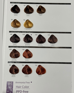 Load image into Gallery viewer, Teotema Colour Chart
