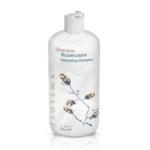 Teotema Rebuilding Shampoo 250ml